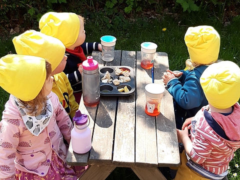 fünf Kinder beim Picknick